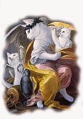 Copia di Catz 16
